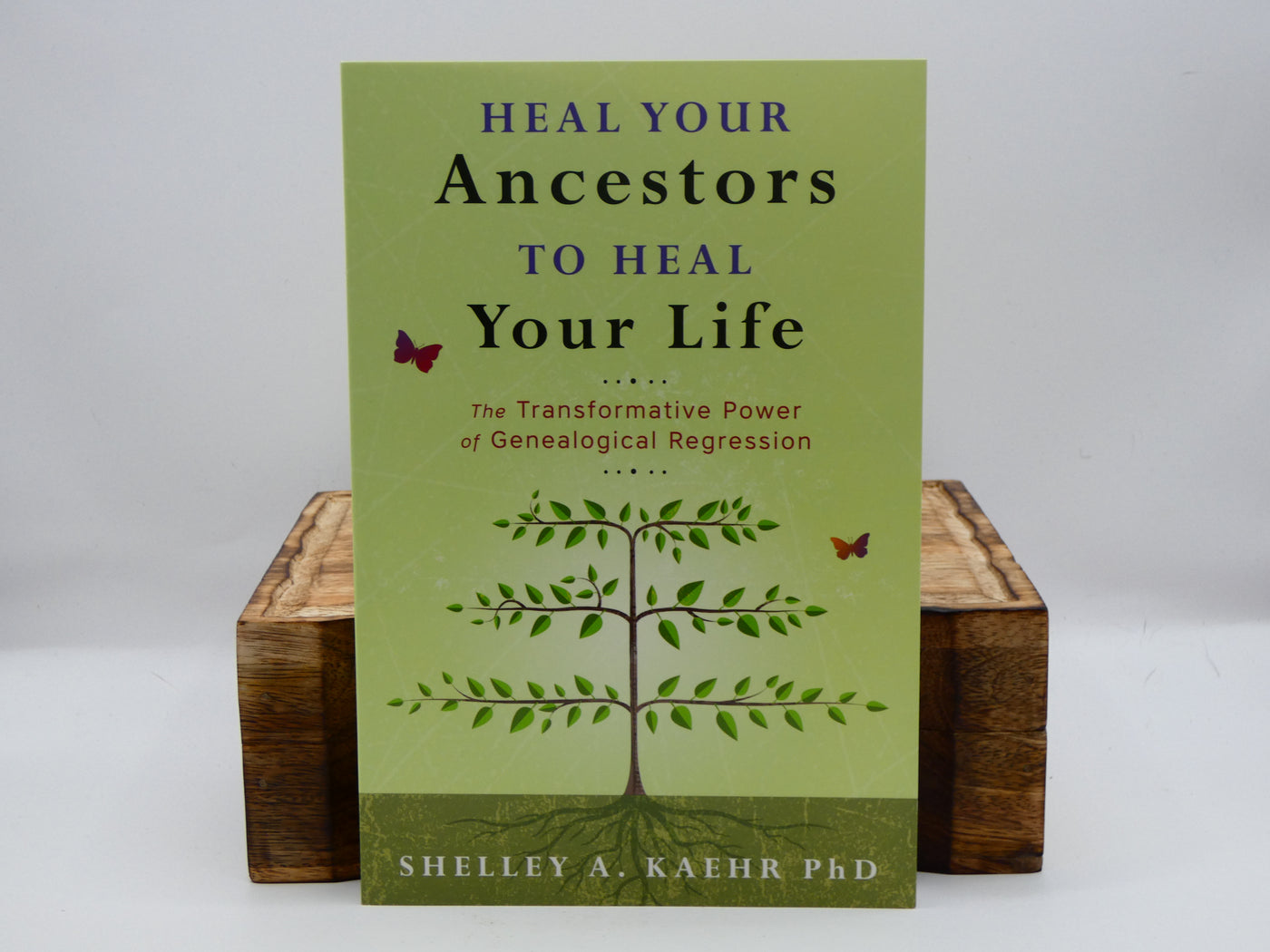 Heal Your Ancestors to Heal Your Life