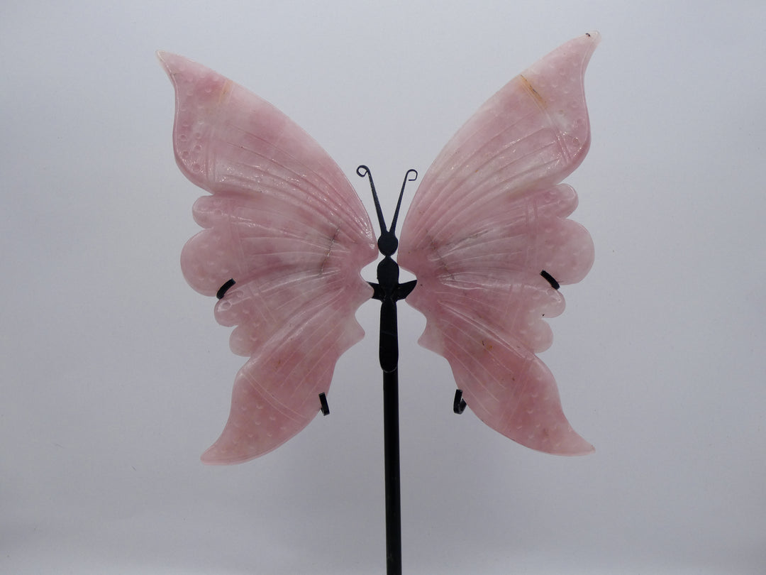 Rose Quartz Butterfly wing store