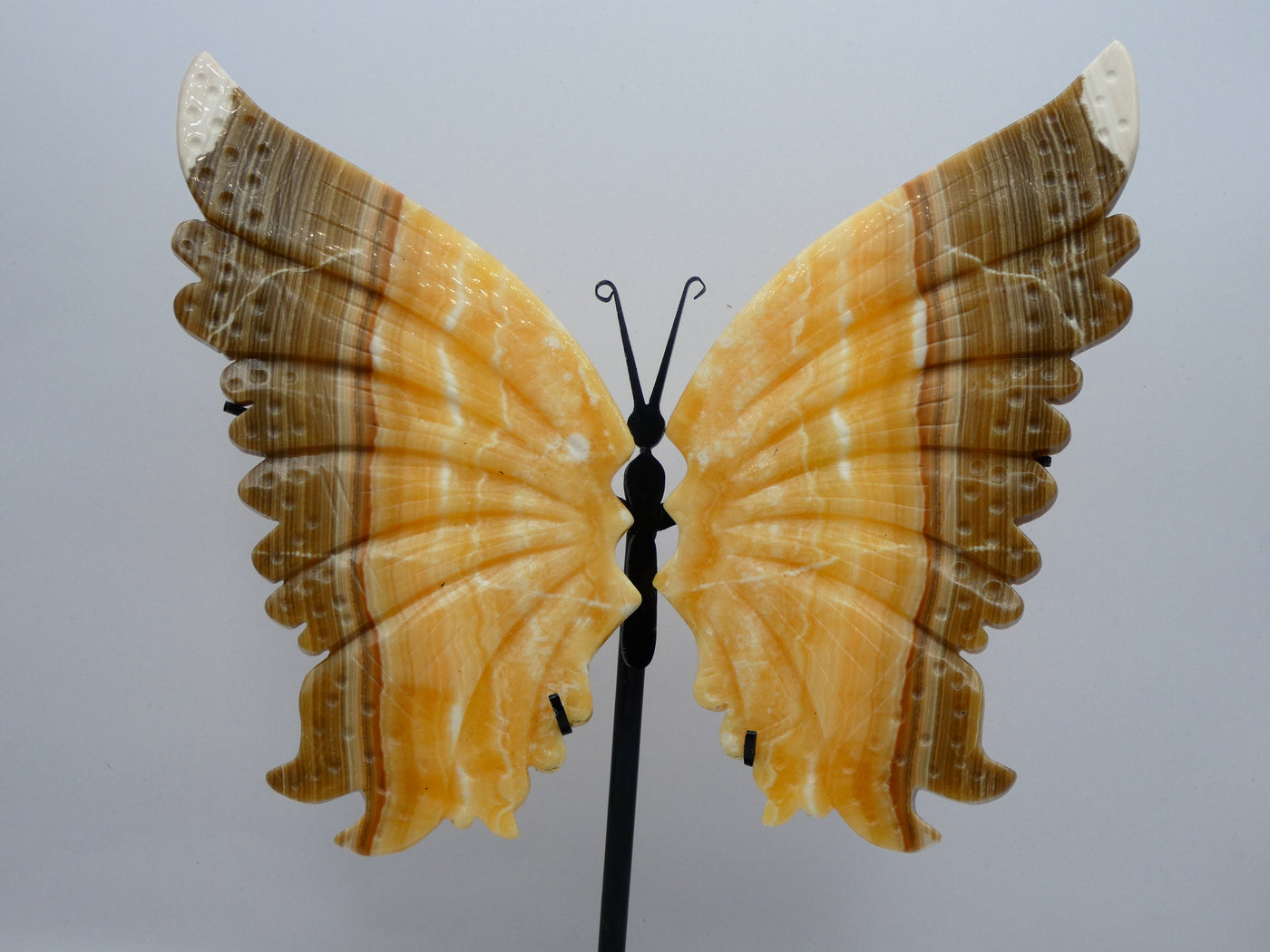 Calcite Butterfly Wings