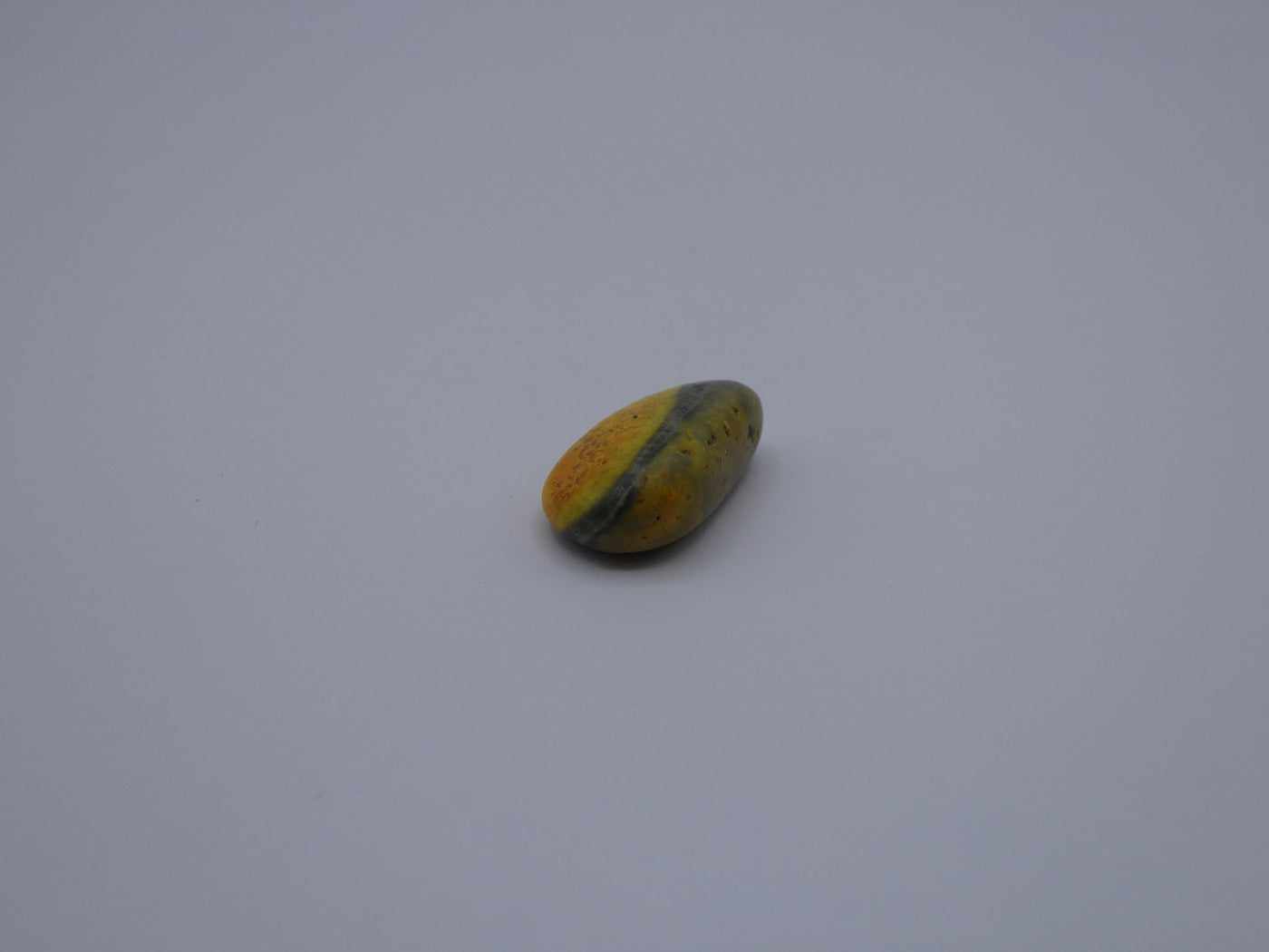 Bumble Bee Jasper