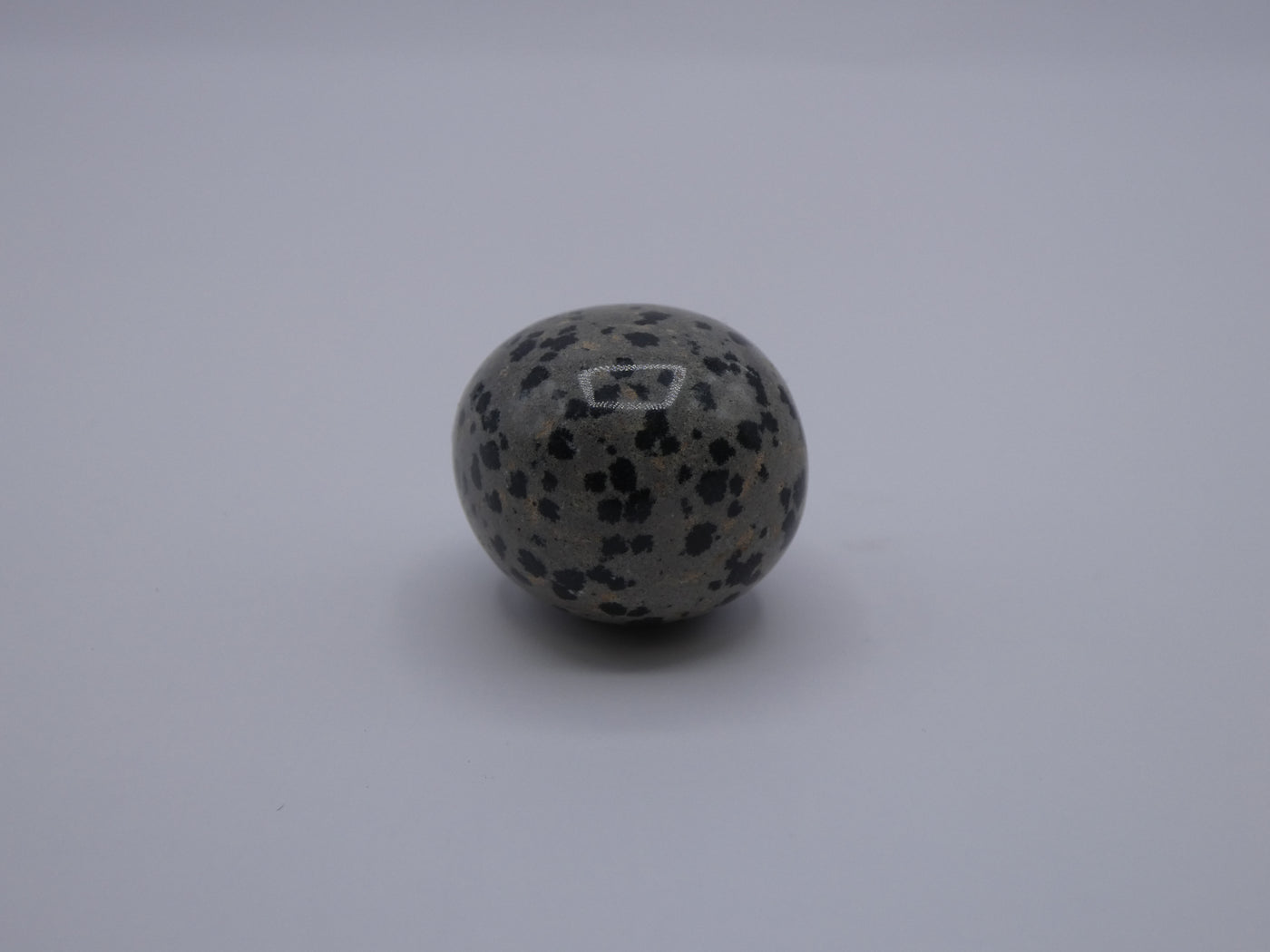 Dalmatian Jasper