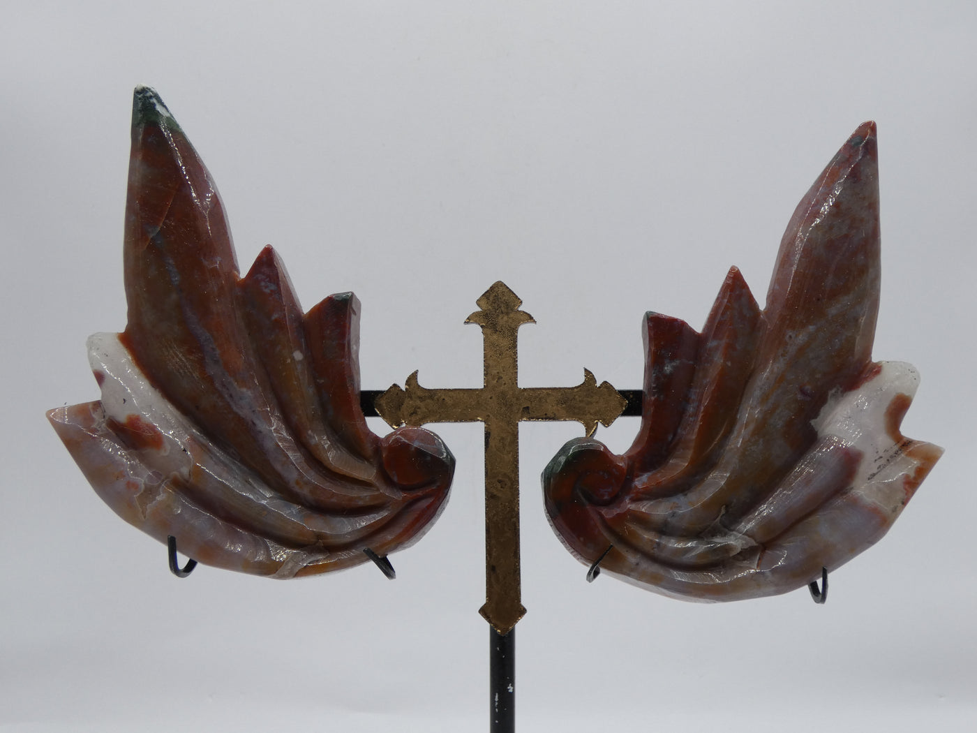 Oceanic Jasper Wings