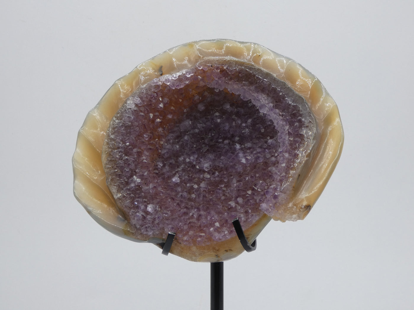 Amethyst Crystal Shell