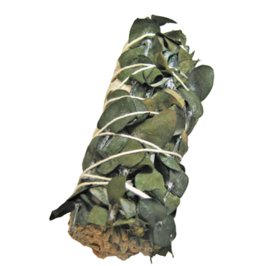 White Sage & Green Eucalyptus Bundle